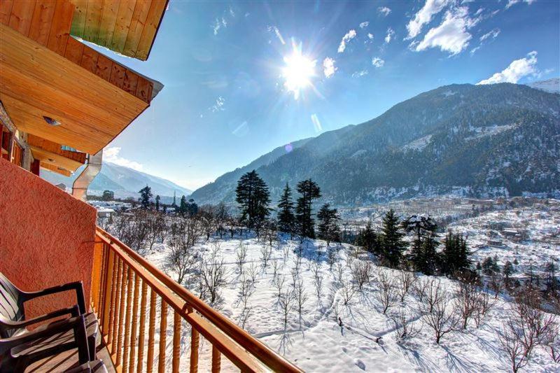 Hotel Mountain Face - Manali (Himachal Pradesh) — Photos 3